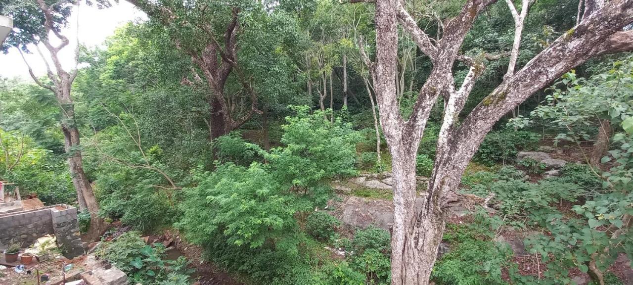 Istays - Loop Road, Yercaud Exterior foto