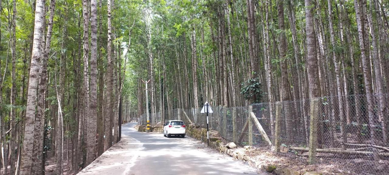 Istays - Loop Road, Yercaud Exterior foto