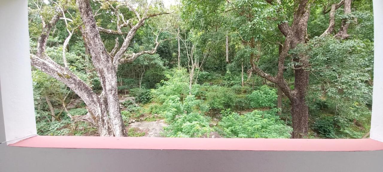 Istays - Loop Road, Yercaud Exterior foto